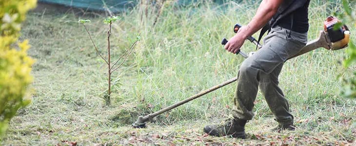 Jardinier annecy debroussaillage ou debroussaillement